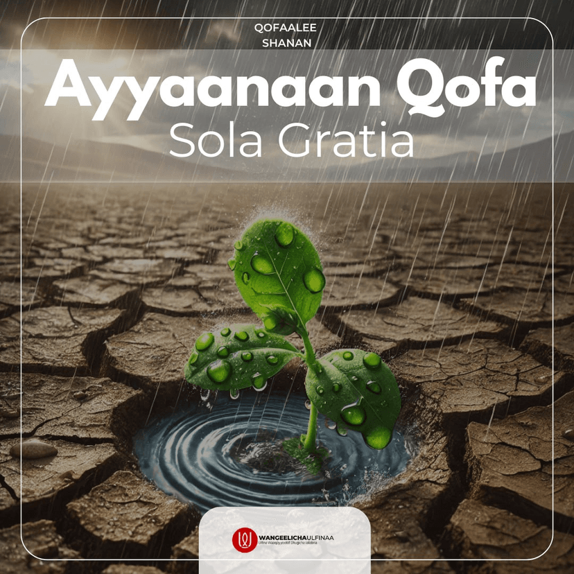 Ayyaanaan Qofa graphic